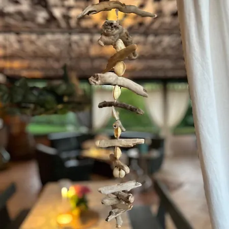 Bego & Wellness