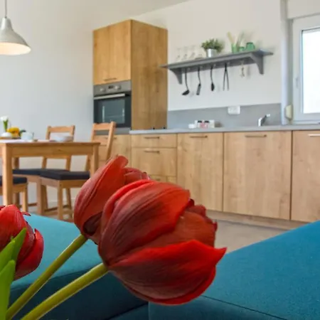 Bego & Wellness Apartment *
