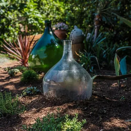 Apartment Bego Spa&wellness